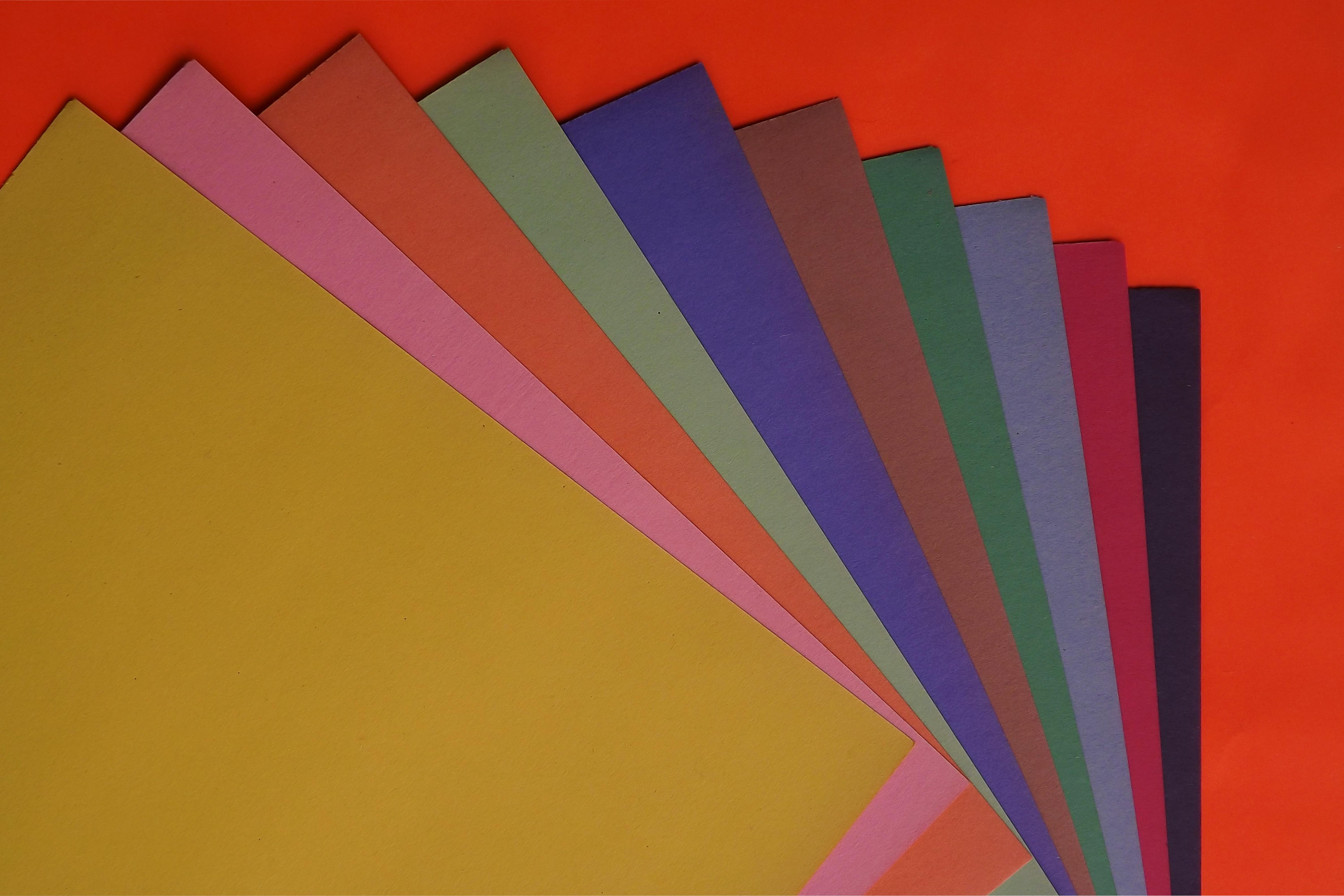 🎨 ¡Dale color a tu tienda!: 5 tips para elegir los colores y el estilo de tu tienda.